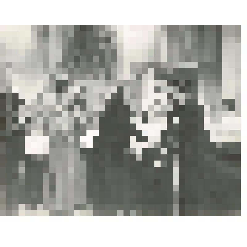 Фотография ч/б. Передача эстафеты. Город Нефтеюганск. Фондообразователь: Общественный музей Нефтеюганска