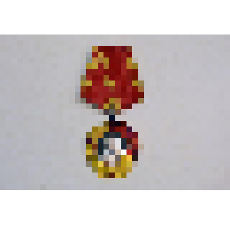 Орден Ленина № 290795 Дударева
Николая Николаевича.
Дударев  Николай Николаевич (1894-1976 гг.),  (1894-1976 гг.), участник гражданской   и Великой Отечественной войн, гвардии подполковник саперных войск, награжден орденами Красной звезды, орденом Красное