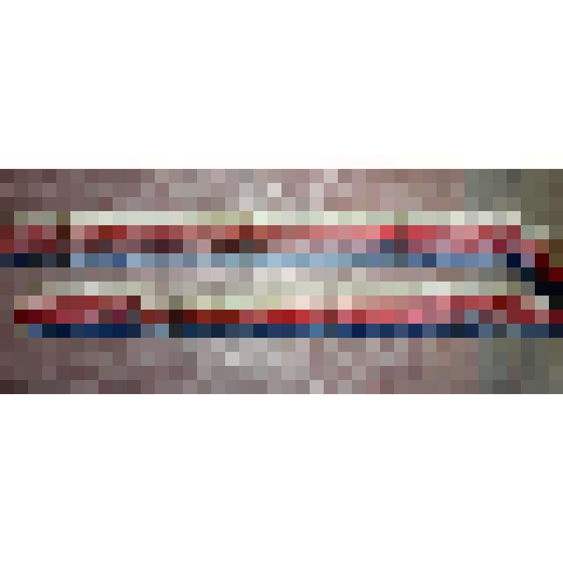 Лента памятная (А.Б.Соловьяненко ?)