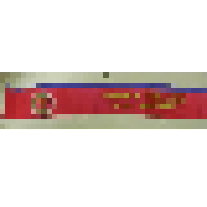 Лента "Почетный гражданин". 
  Из коллекции материалов о Частухиной Клавдии Александровны (1899), ветеране КПСС, Почетном гражданине г. Кинешмы Ивановской области