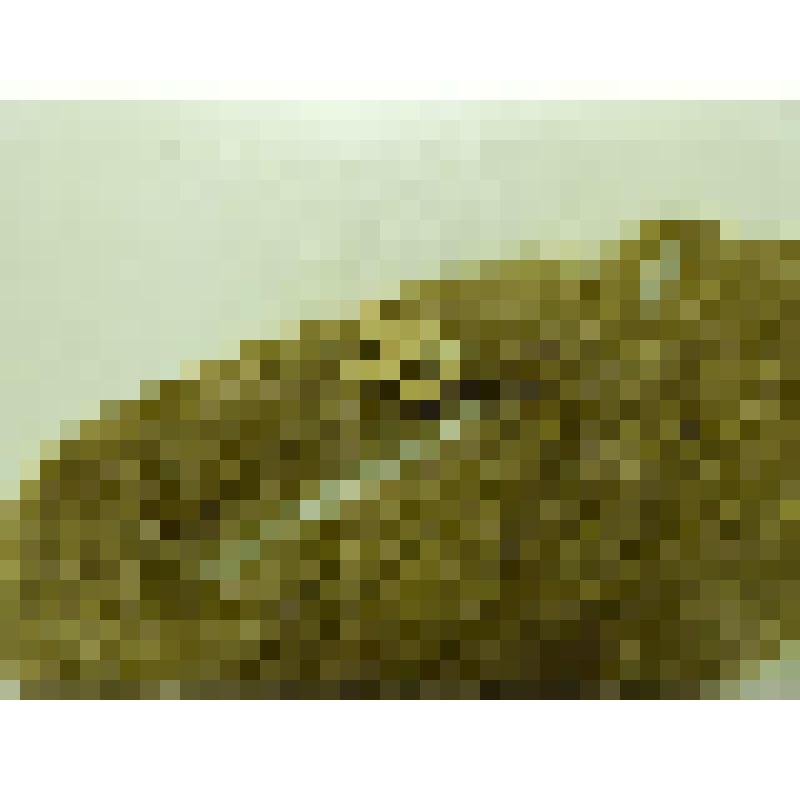 Мочка льняная