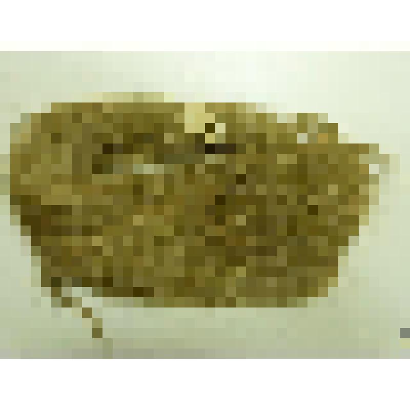 Мочка льняная