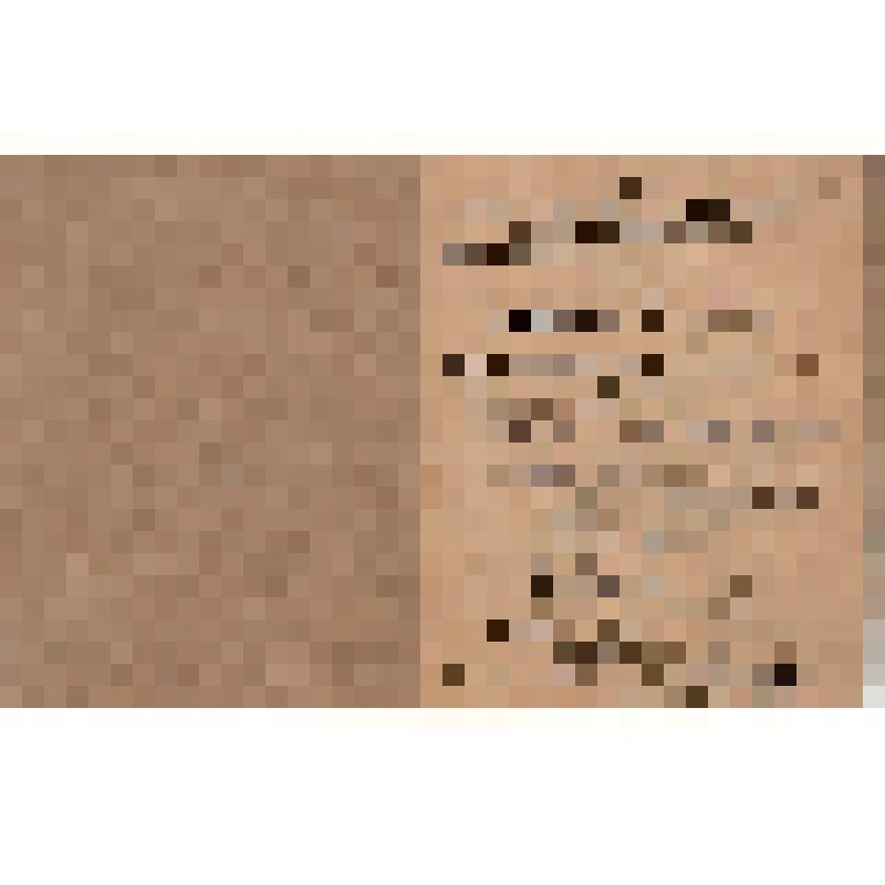 Билет N 4051 члена общества "Друг детей"