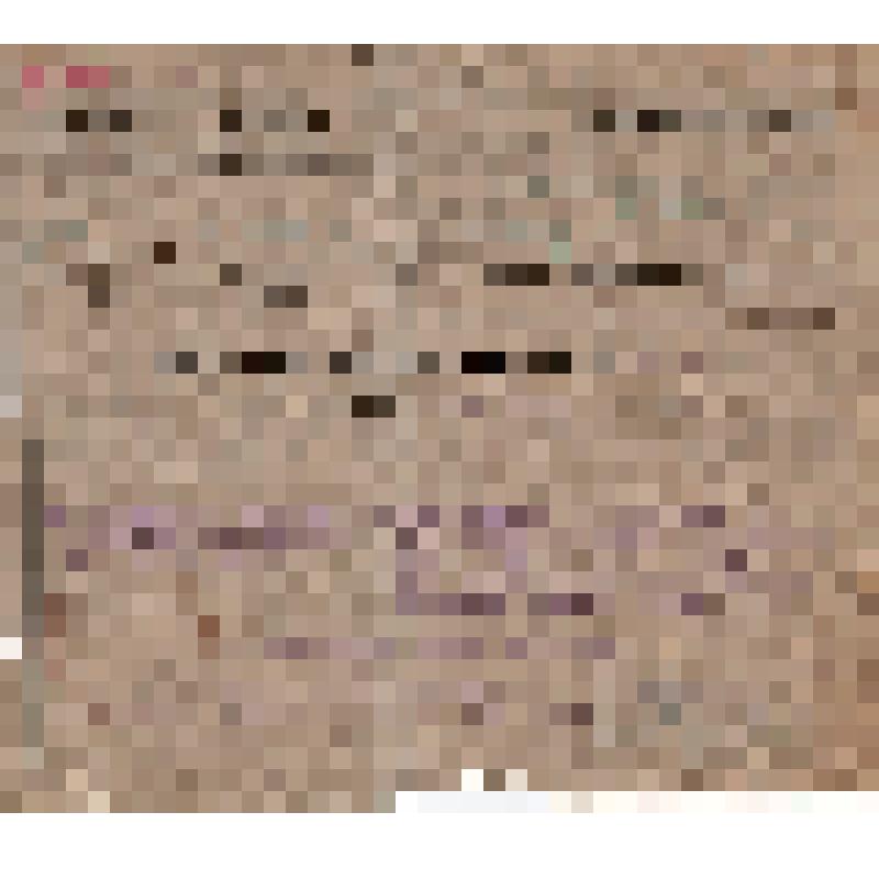 Выписка из протокола N 15/64 заседания Президиума ВУЦИК от 19.IV-1922 г. о награждении Донецкого техникума имени Артема Красным Трудовым Знамением