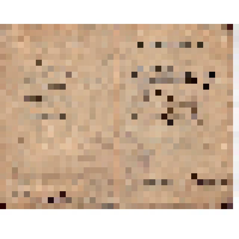 Грамота о присвоении звания почетного чекиста Самсонова Т.П. за подписью Ф. Дзержинского