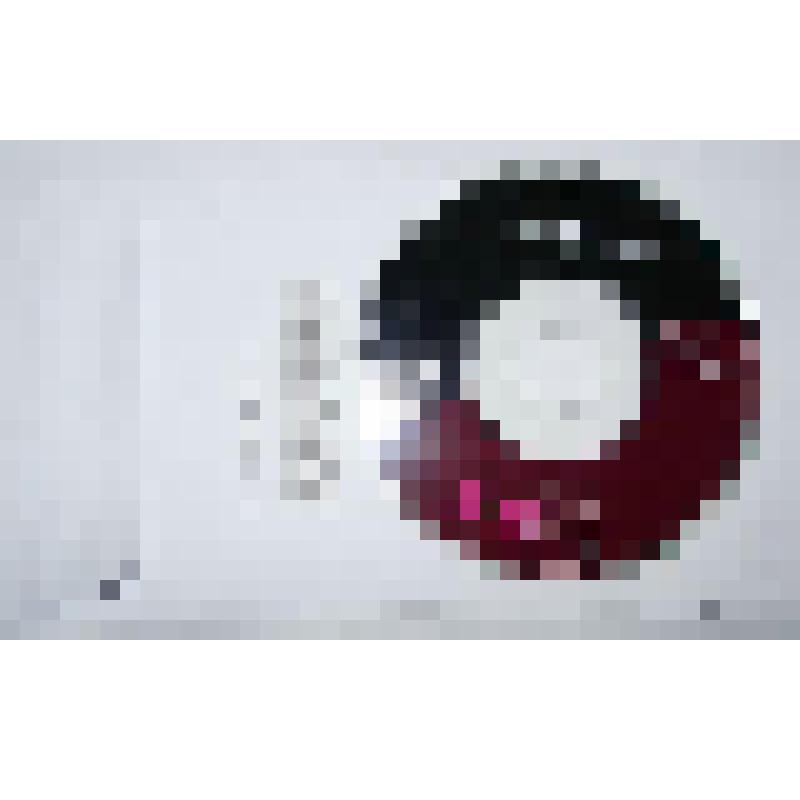 Компакт-диск с программным обеспечением для телефона Siemens SL55