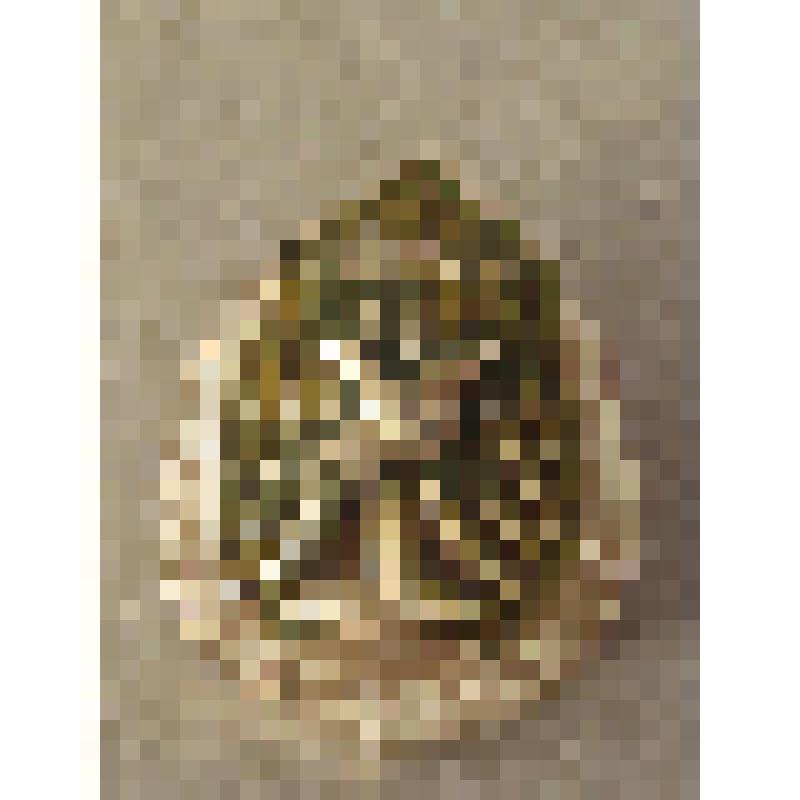 Значок "Юный друг природы"