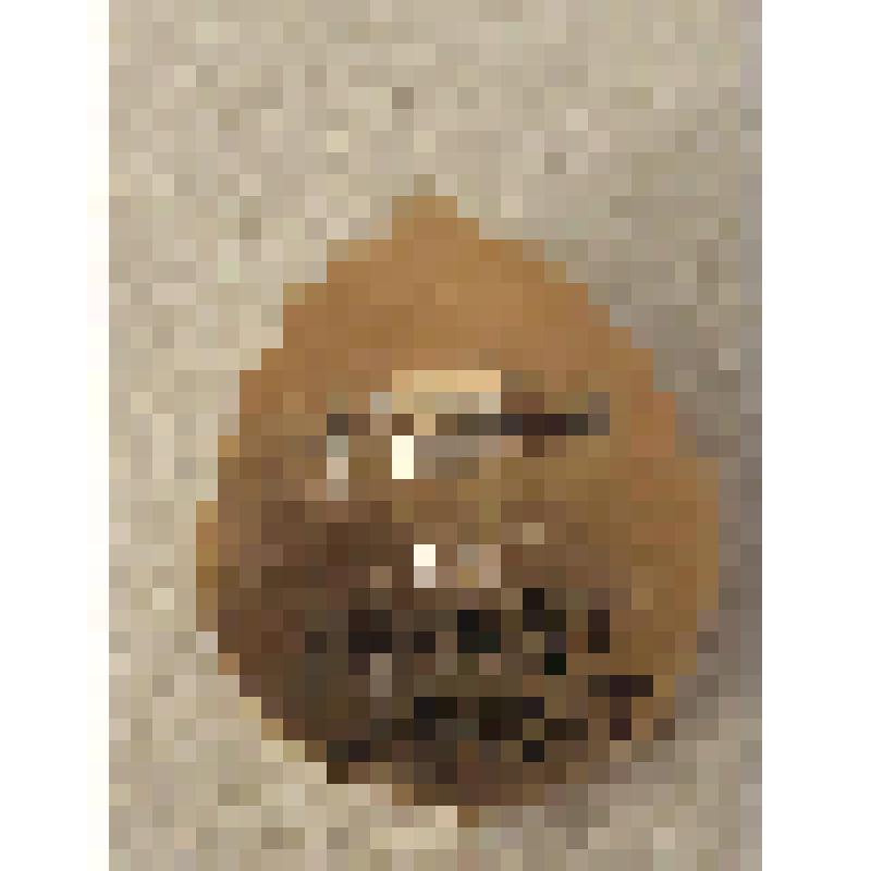 Значок "Юный друг природы"