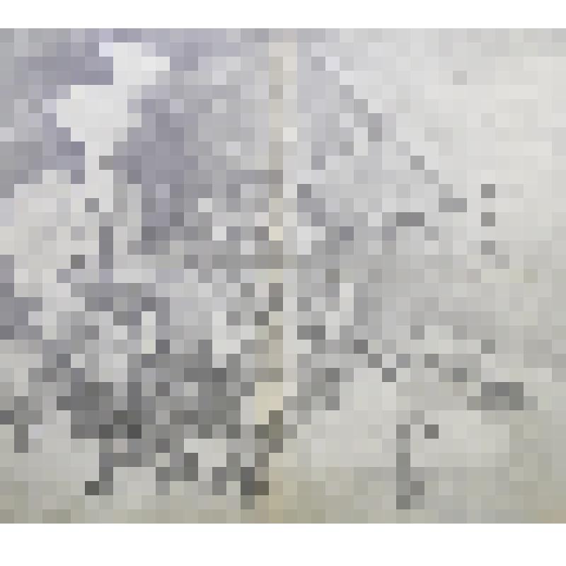 Рисунок "Красный рубеж"