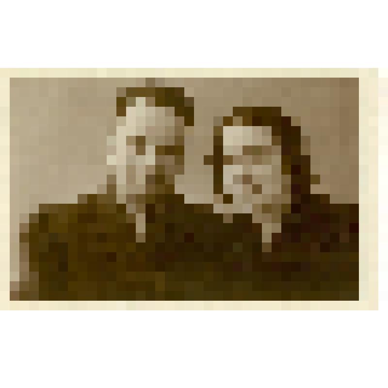 Фотография. Конаков Петр Тимофеевич, участник Великой Отечественной Войны с женой Конаковой Клавдией Дмитриевной