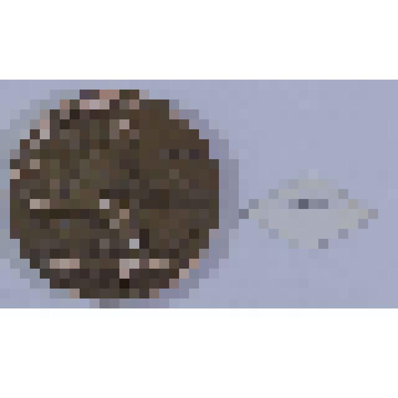 МЕДАЛЬ ПАМЯТНАЯ. ВЛАДИМИР УЛЬЯНОВ - УЧАЩИЙСЯ