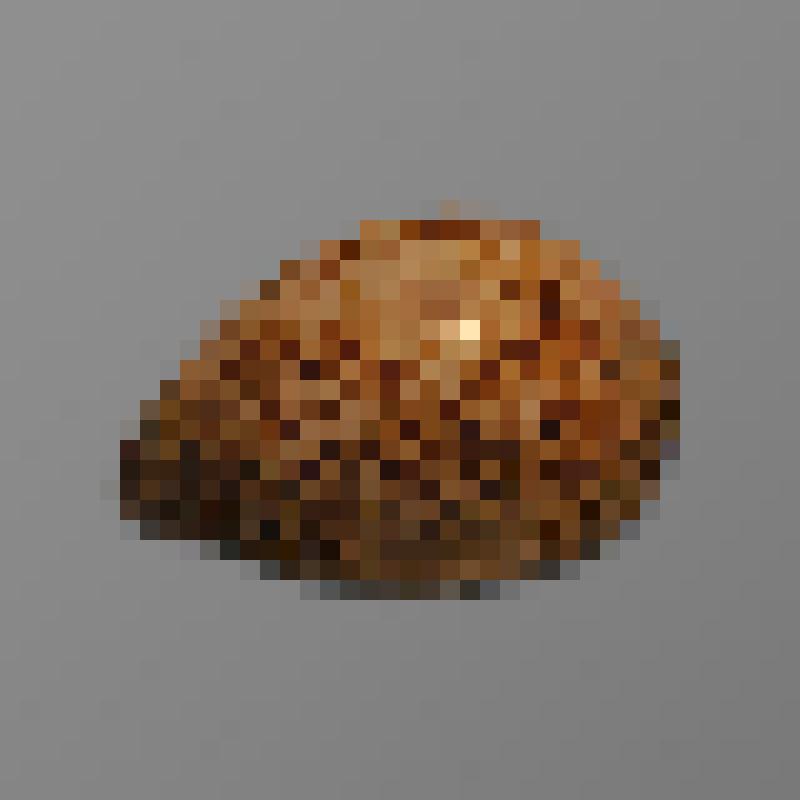 Табакерка из раковины в серебряной оправе и с серебряной, внутри золоченой, крышкой на шарнире