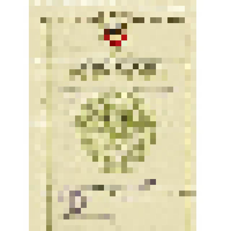 Свидетельство № 036619 Касаткина Григория  Никитовича  об обучении в Железнодорожной начальной  школе № 5 станции Рязань и об окончании в 1956 году полного курса. 23.05.1956 г