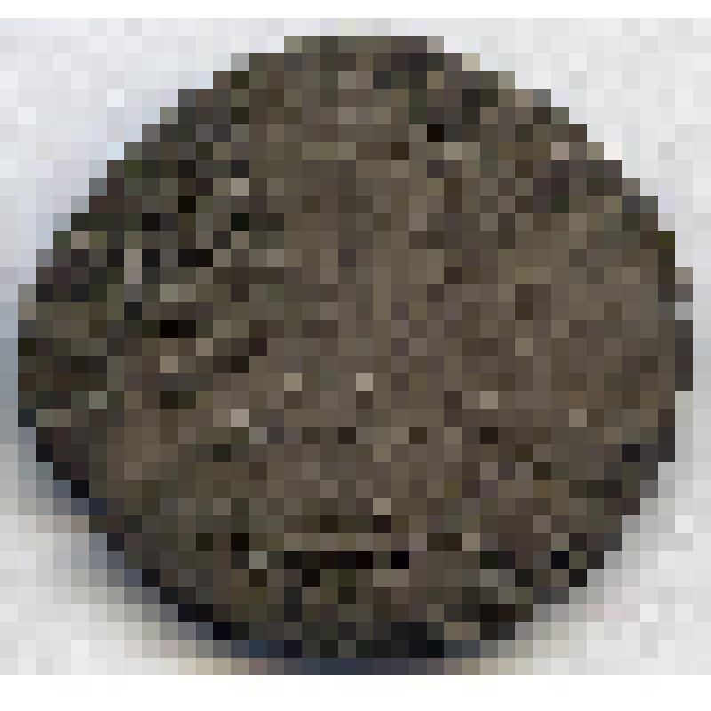 Монета. Священная Римская Империя;Тироль. Мейнхард II (1257-1295), цванцигер