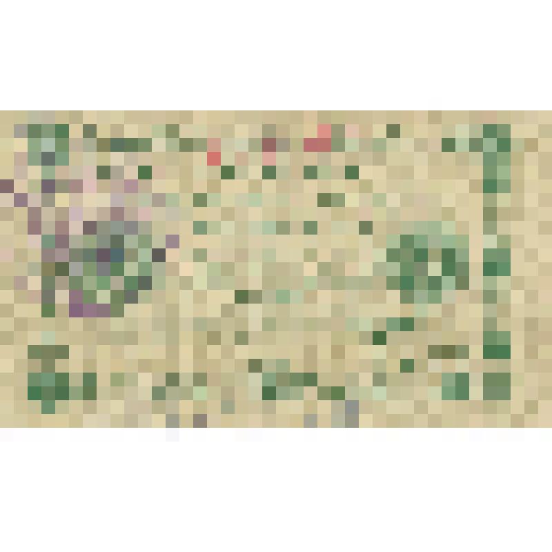 Государственный кредитный билет. Россия. 3 рубля. 1918 г