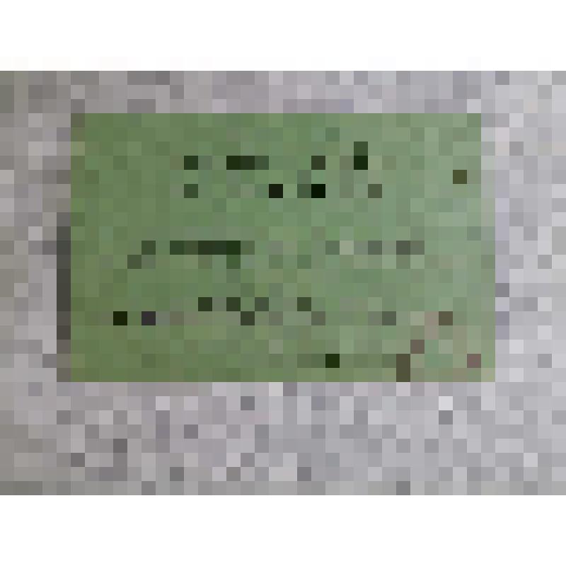 Пропуск № 494 на имя Е.М. Ботвинникова на Советскую площадь в день празднования Международного праздника трудящихся 1 мая. СССР. Калинин