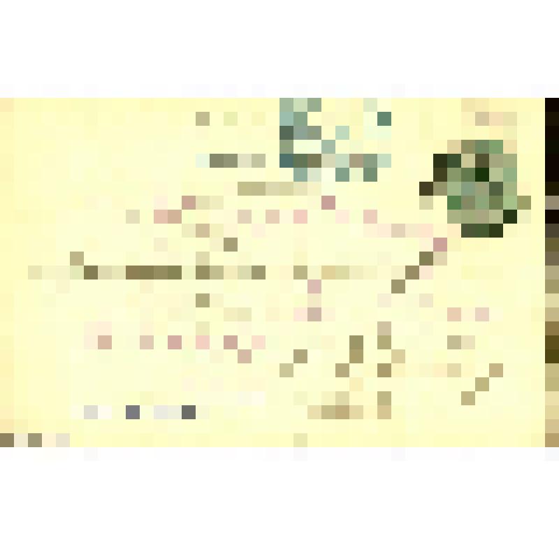 Св. Августин. Репродукция работы, худ. Ван Дейк. Церковь св. Августина. Антверпен. Роспись. (Van Dyck. Saint Augustin. Eglise des Augustine, Anvers)