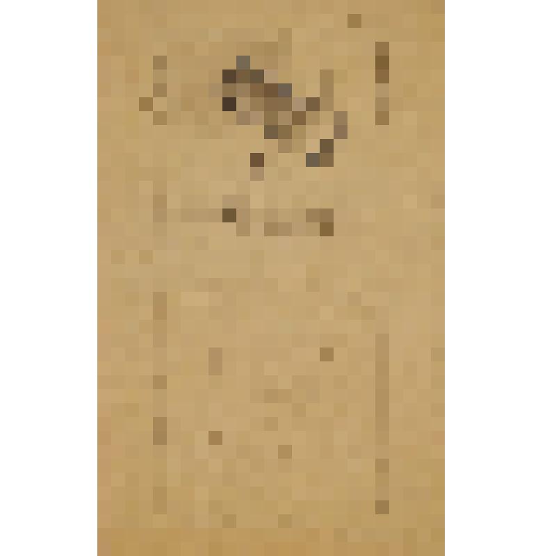 Проун (с брусками)