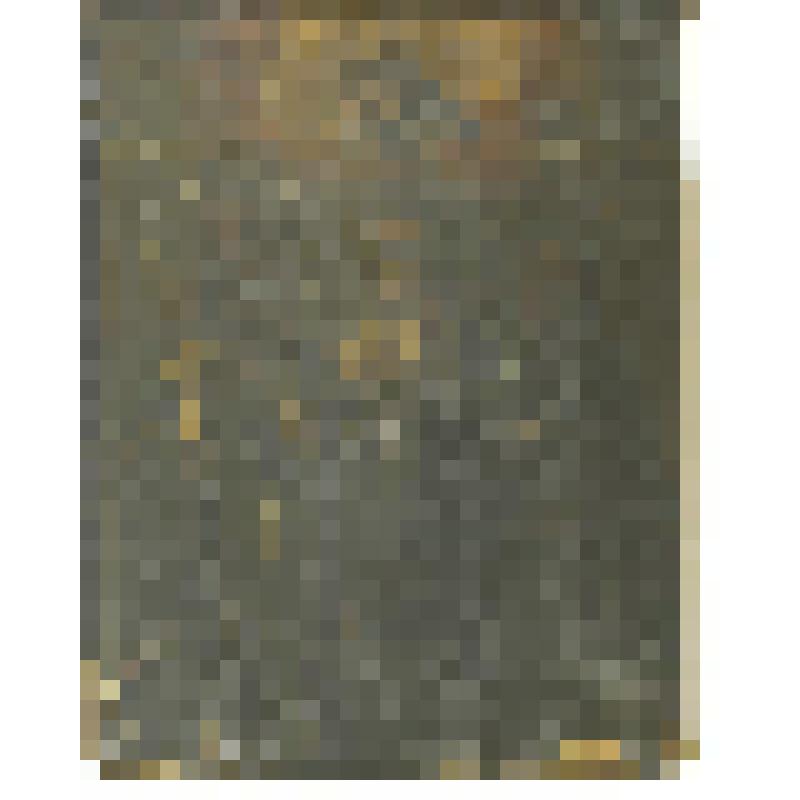 Иннокентий Иркутский, Мария Египетская и Афанасий Афонский. Икона