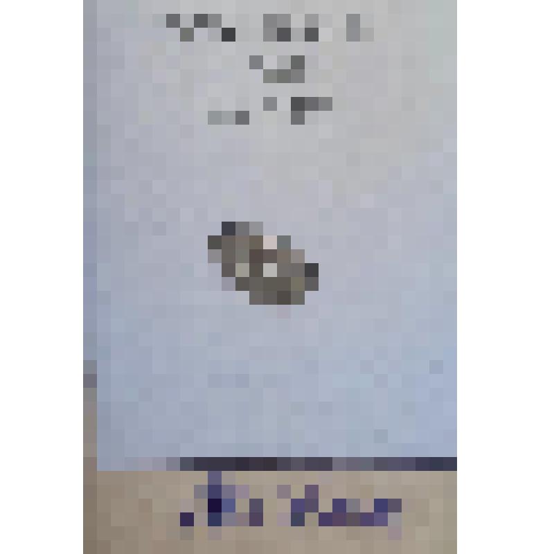 Монета Копейка