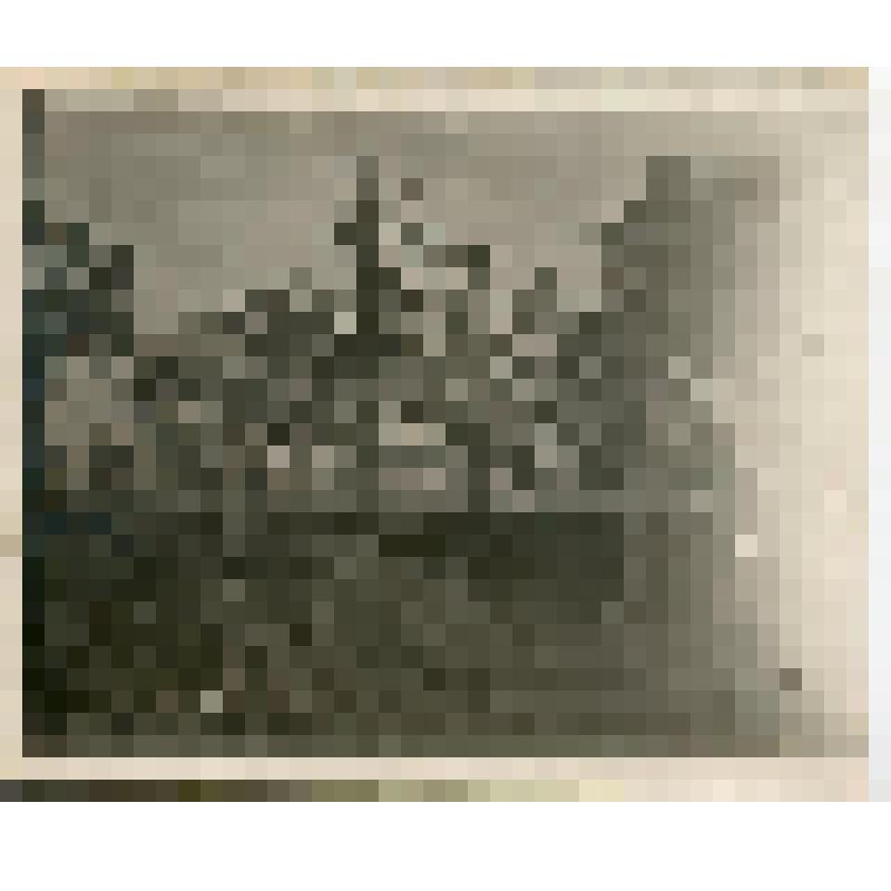 Фотография. Лагерь учащихся школы имени Карла Маркса. Группа воспитанников принимает солнечные ванны. Село Винновка