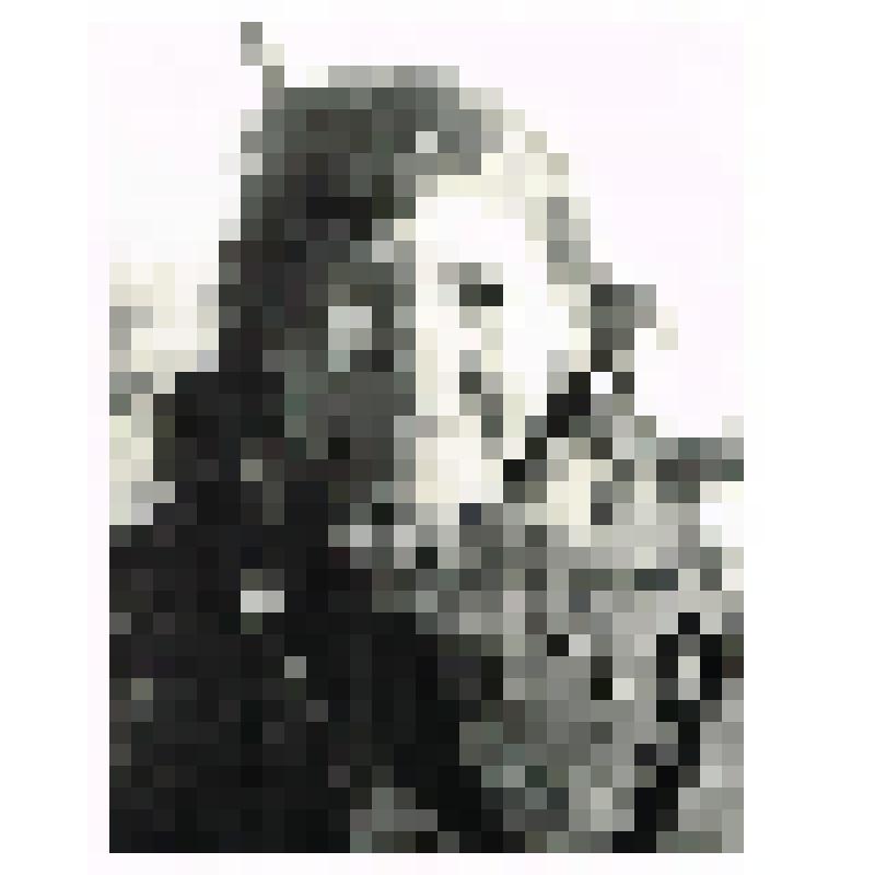 Фотография черно-белая. Кавалер Ордена Ленина Молданова Анна Ефимовна