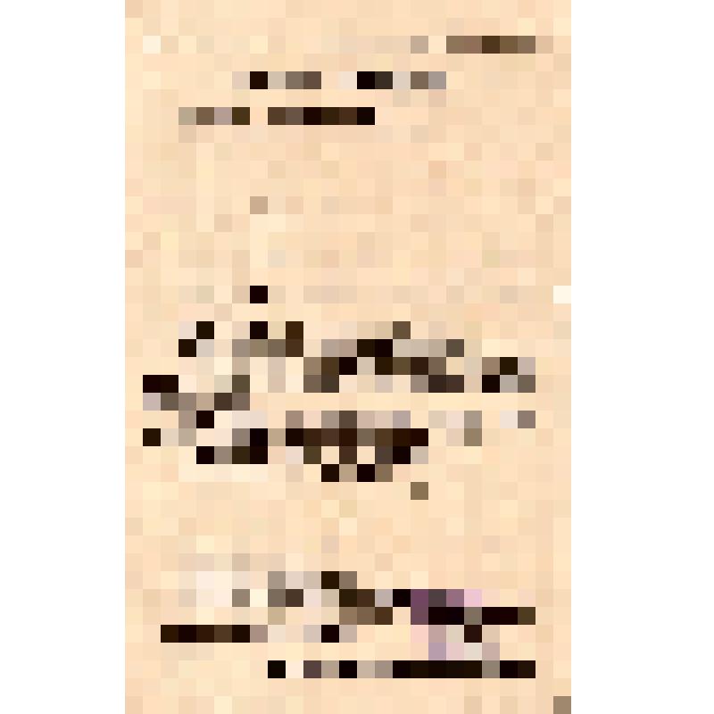 Учебный отдел управления всеобщего военного обучения. Сегодня 1 мая свой праздник впервые празднует Свободный пролетариат