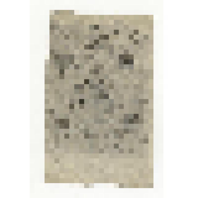 Иконный образец. Богоматерь «Взыскание погибших»