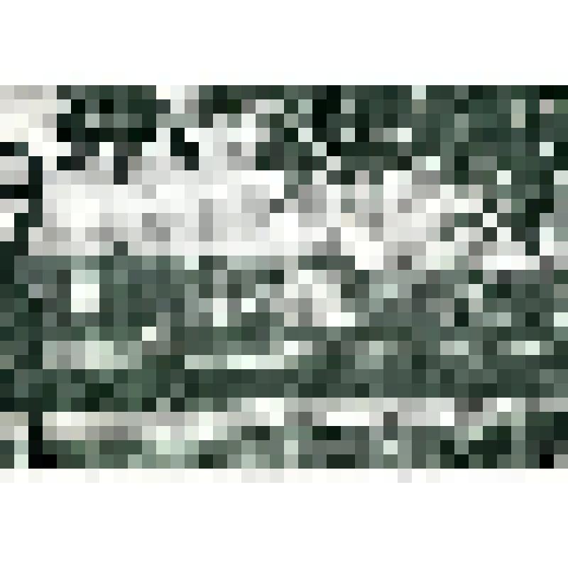 Фотооткрытка. Панорама набережной Васильевского острова