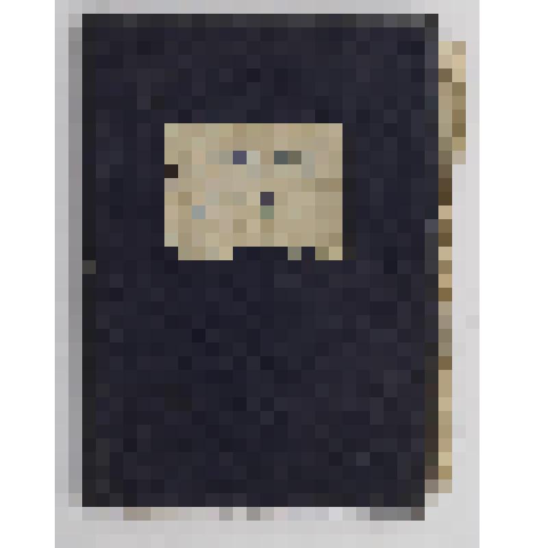 Книга «Октоих. Гласы 5-8»
