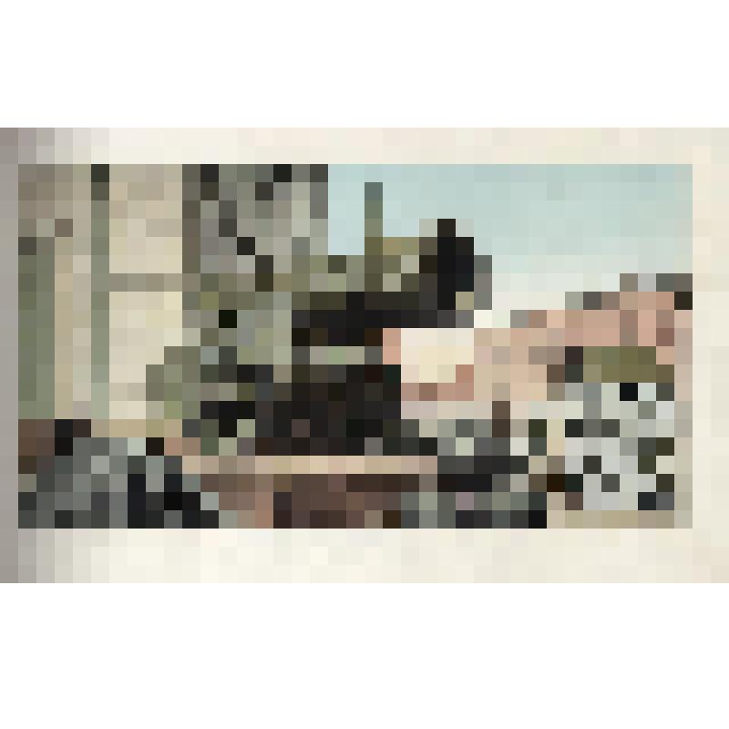 Царь-пушка в Кремле. Фотография