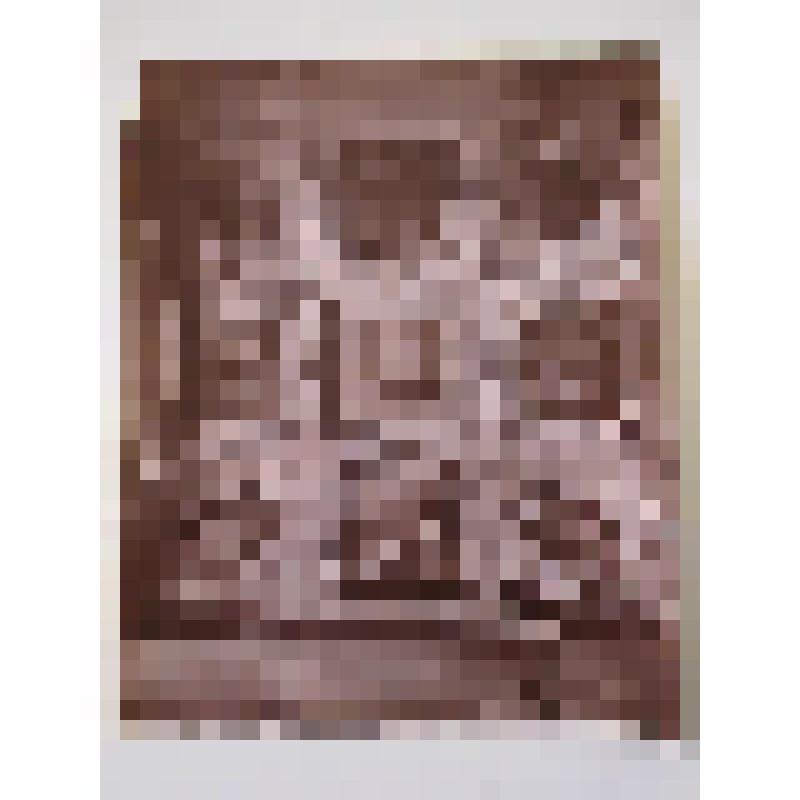 Палаццо Веккьо. 1298-99 гг. Италия, Флоренция. Палаццо Веккио. Зал Тезоретто. Авт. Д. да Удине. Изд. Алинари