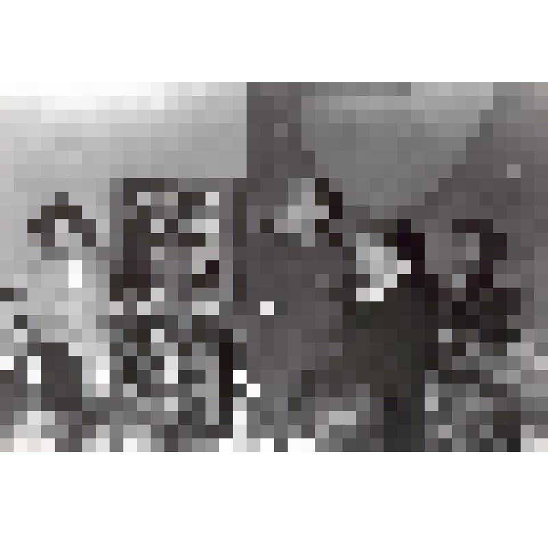 Фото. Панно родословной  Гагариных - в подарок матери первого космонавта в честь ее 75-летия от семьи Королевых