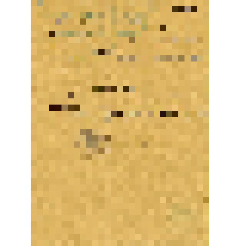 Выписка из протокола заседания президиума Черновского сельсовета о выявлении чужих элементов среди членов колхоза. Копия