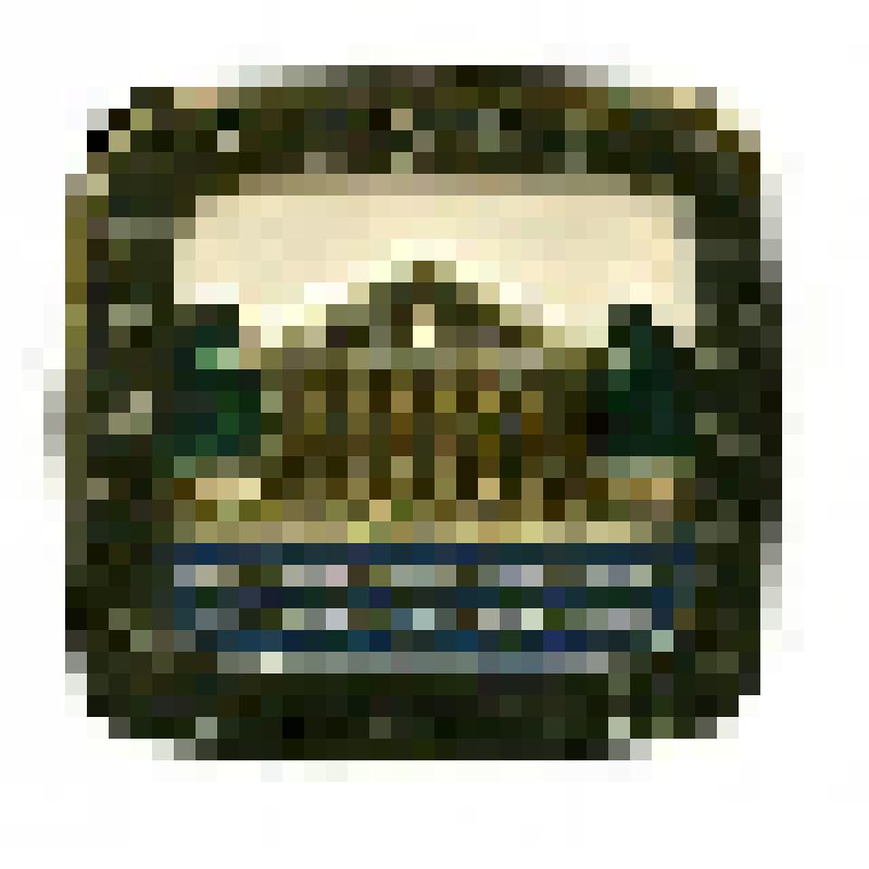 Значок. Ленинград. Летний дворец Петра I, на булавке. СССР