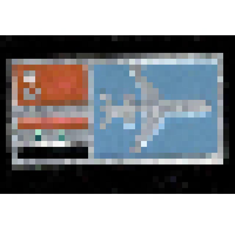 Значок. Авиация. СССР-Сирия, на булавке. СССР