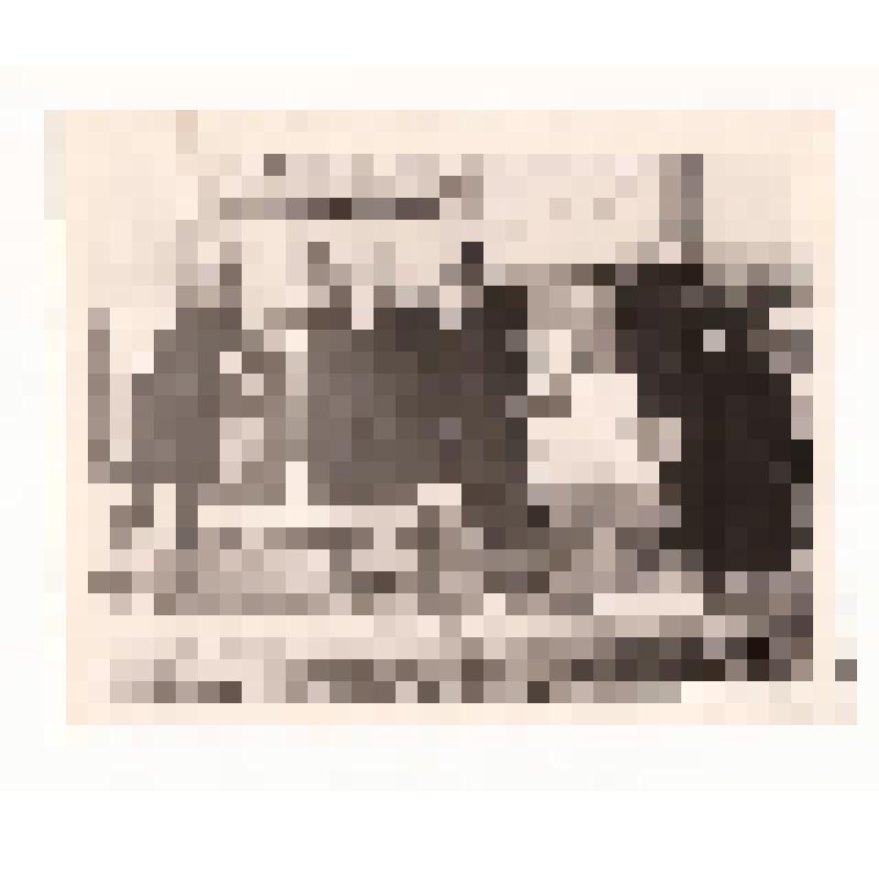 Фотография. Дружинники на дежурстве (сотрудники СКБ отдел 083)