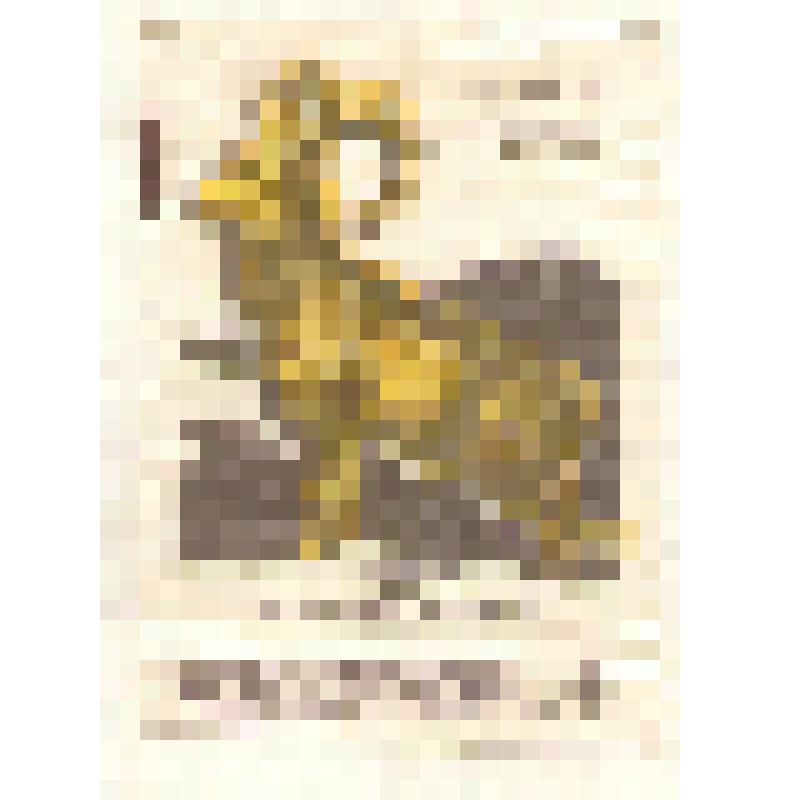 Коллекция спичечных этикеток Павла Немцова. "Снежный баран"