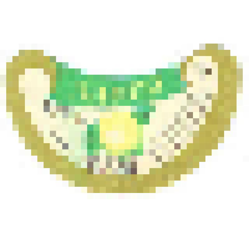 Кольеретка-этикетка горловая к напитку «Лимон» производства Рязанского завода безалкогольных напитков, из коллекции кольереток – этикеток горловых к безалкогольным напиткам