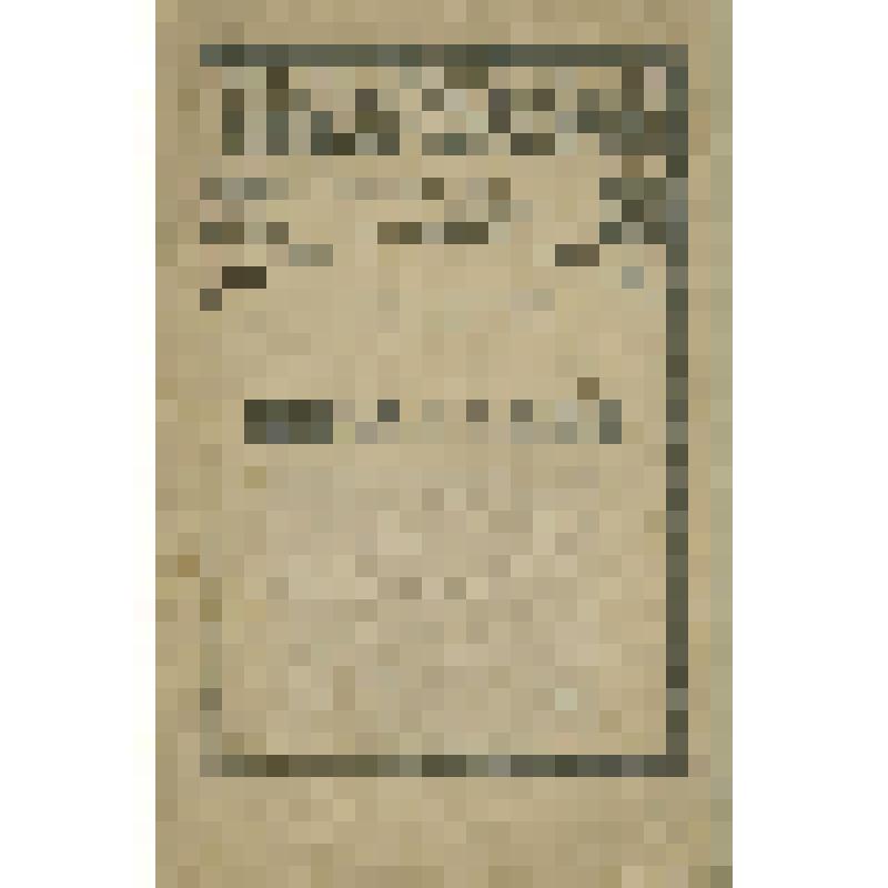 Книга. Восстание: [стихотворение]. [Москва], 1919.- 14 с.- серия «Библиотека «Горна» № 1