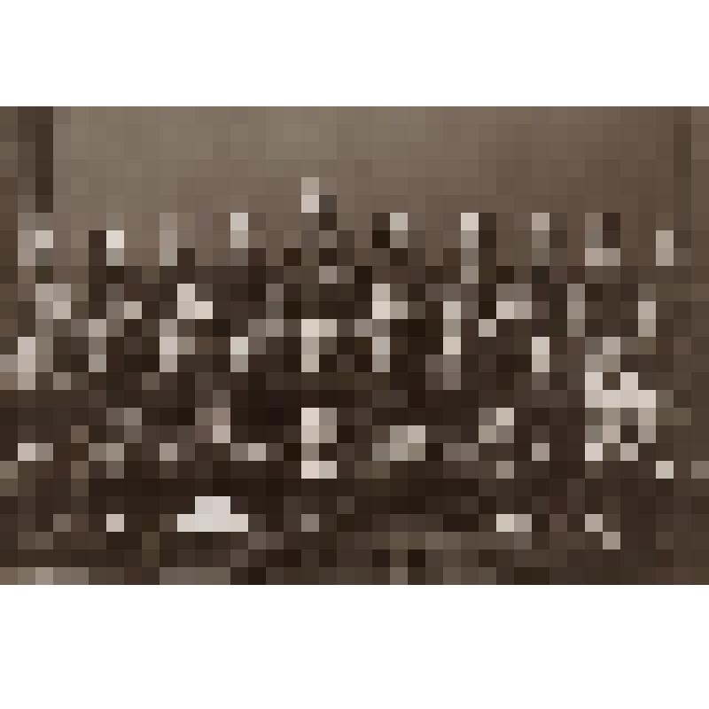 Фото на паспарту. Один из первых выпусков Вятской Мариинской женской гимназии