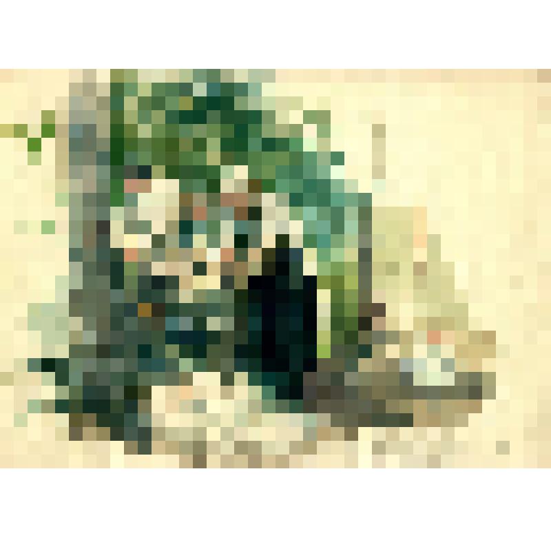 Медсестры стирают белье раненым. МСБ 436. Рисунок