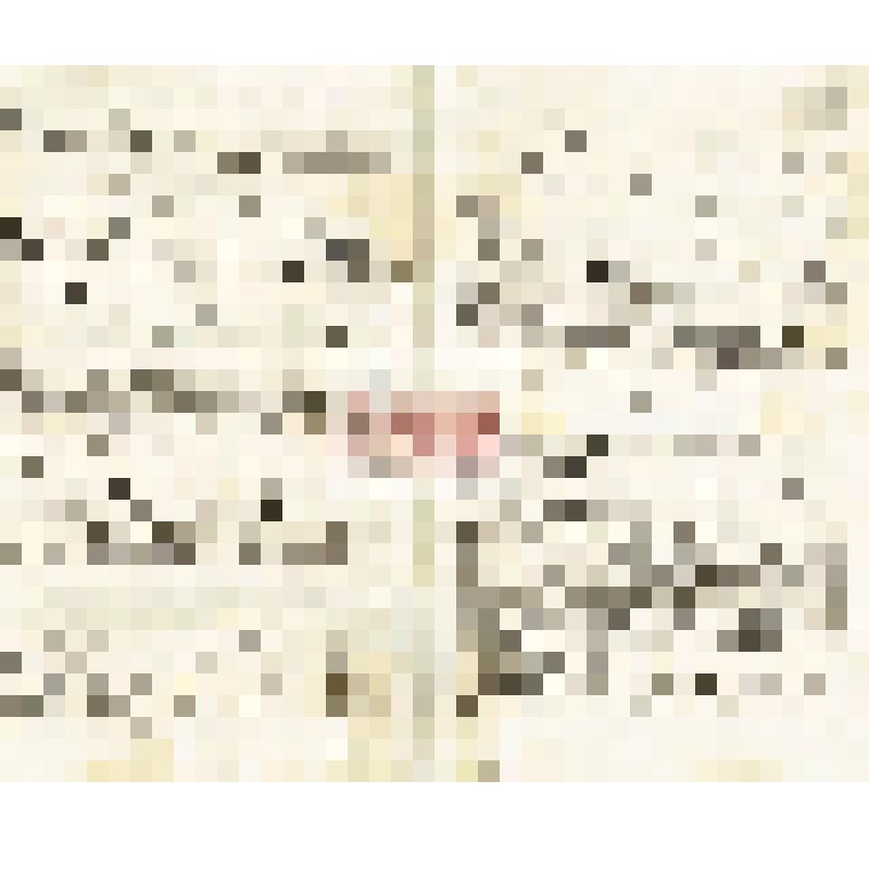 Письмо Д. Л. Клеменца Мартьянову с благодарностью за письмо и семейные фотографии, о своём здоровье, о Нижегородской выставке, о подготовке китайских коллекций письменных принадлежностей и тканей для Минусинского музея