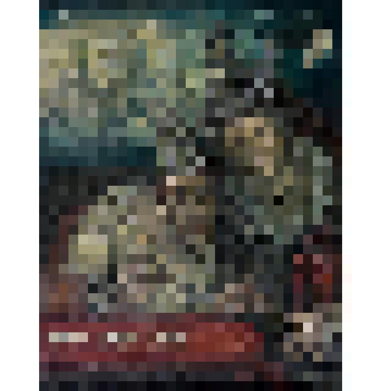 Сон № 2