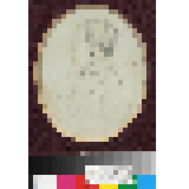 Л.Н. Толстой - студент