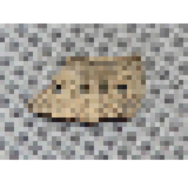 Фрагмент венчика и   стенки керамического сосуда