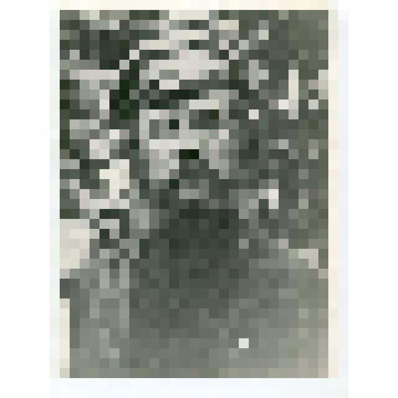 Фото портрет погрудный. Учитель Бурцевской школы Федоров Дмитрий Тимофеевич