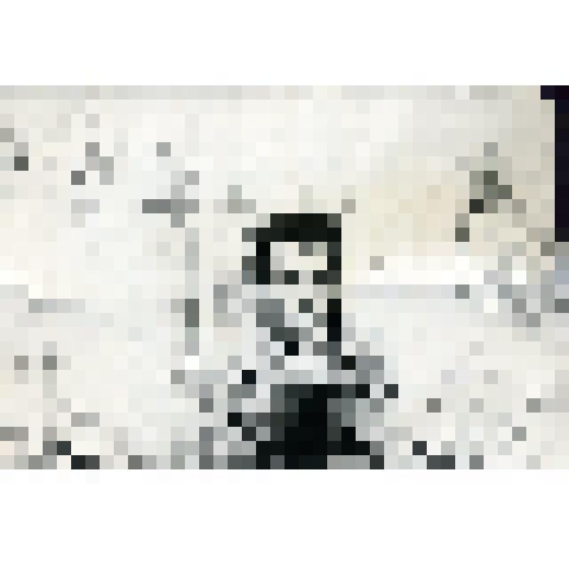 Фотография ч/б