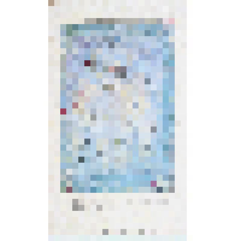 «Серебряный голубь VI».1993