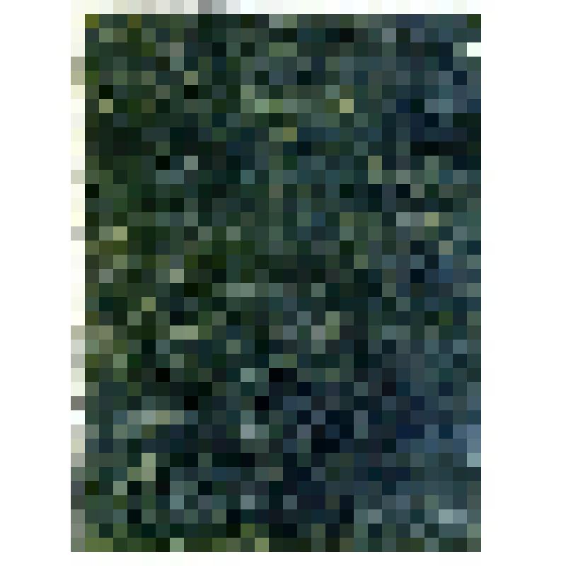 Билет партийный, № 13425932, выдан 16 июля 1974 г